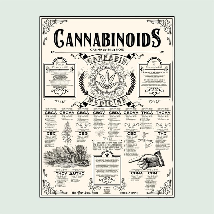Cannabinoid System