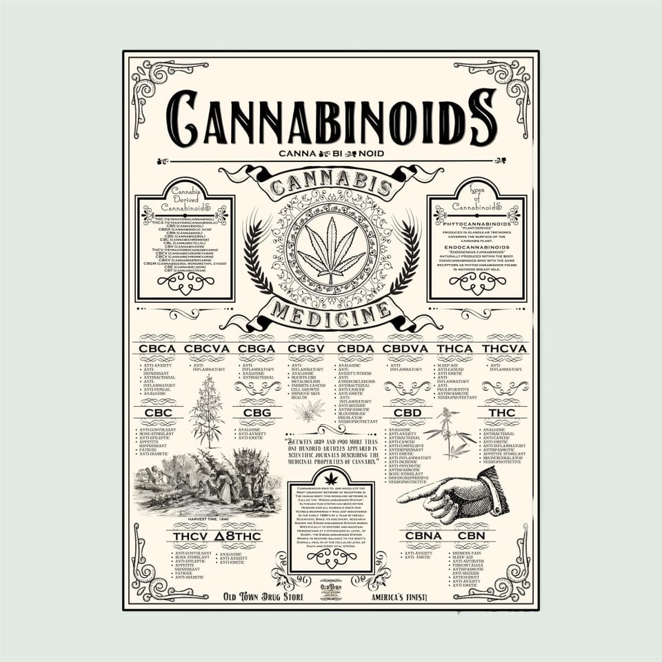 Cannabinoid System